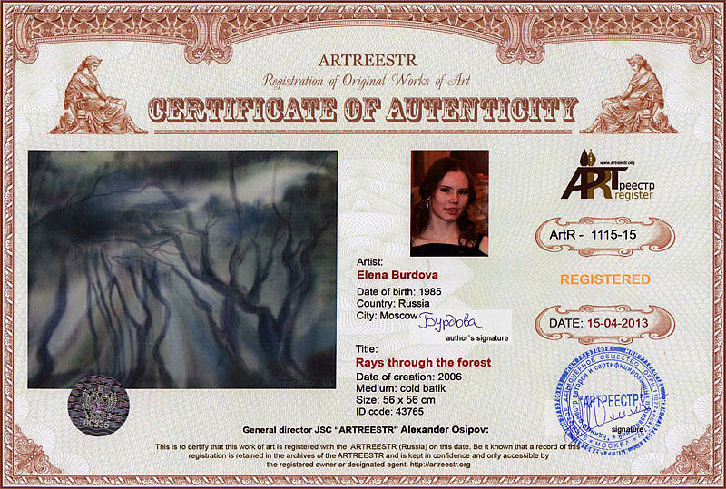 Rays through the forest