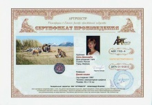 Дикие кошки