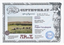 1077-6 Ирандык