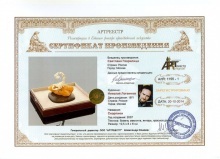 Гаврилица Светлана Васильевна