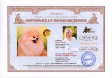 Щенок Винни. Из серии `Собаки говорят`