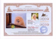 Мышка. Из серии `Собаки говорят`