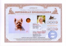 Характер Гаврюши. Из серии `Собаки говорят`