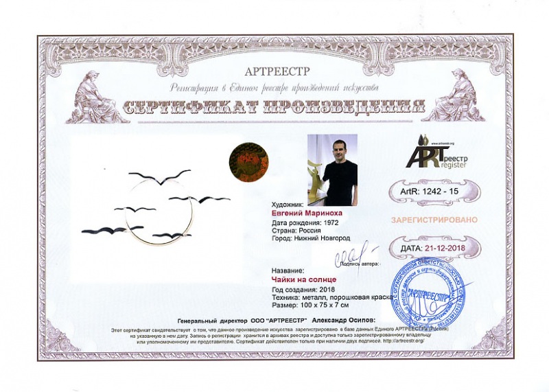 Чайки на солнце