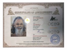 Swami Saraswati Satyananda (2)