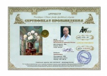 Хризантемы