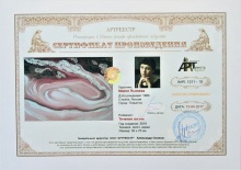 Течение жизни