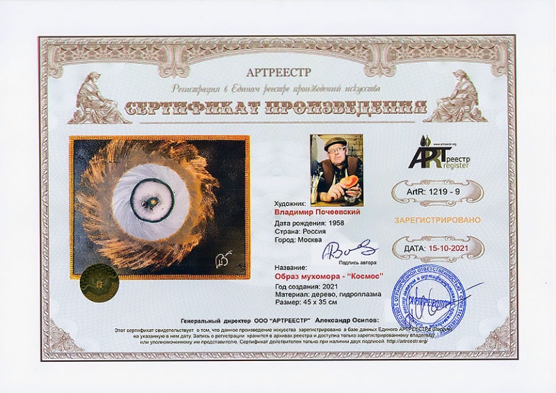 Образ мухомора - Космос