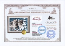 Разбойники