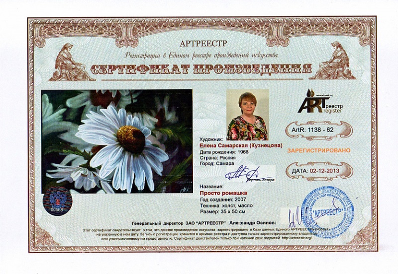 Просто ромашка