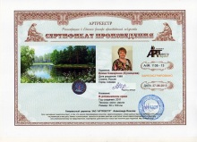 В ромашковом краю