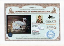 Ах, эти лебеди!