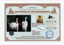 Семейный кортеж