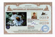 Просто ромашка