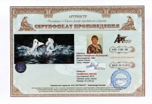 Симфония жестов