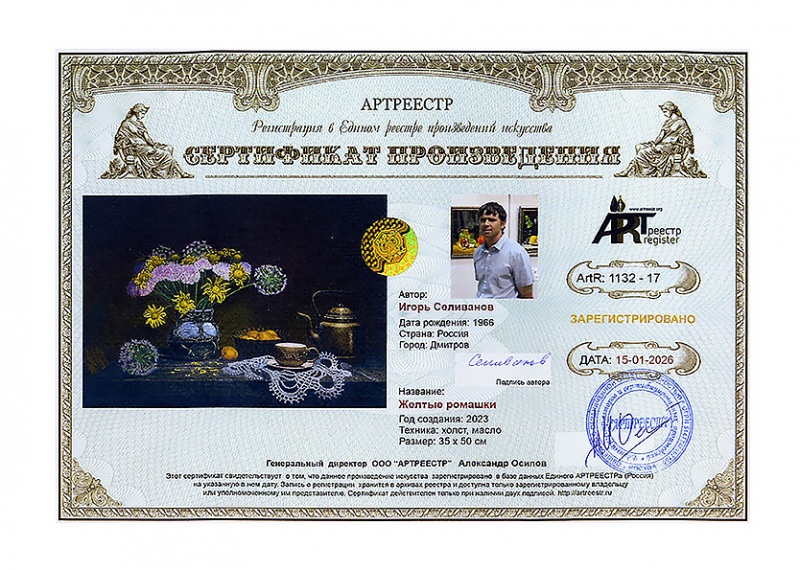 Желтые ромашки