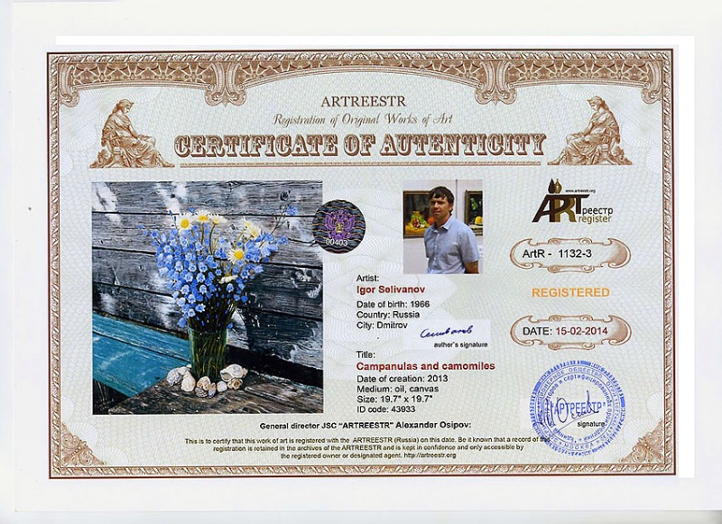 Campanules and camomiles