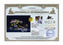 Желтые ромашки