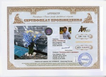 Колокольчики и ромашки