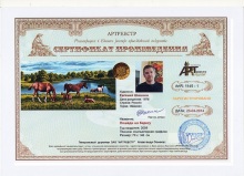 Лошади на берегу