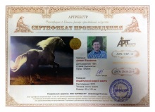 Андалузский серой масти