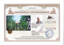 Воспоминание об Испании. Парк Гала