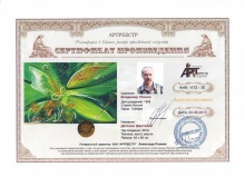 Детские фантазии