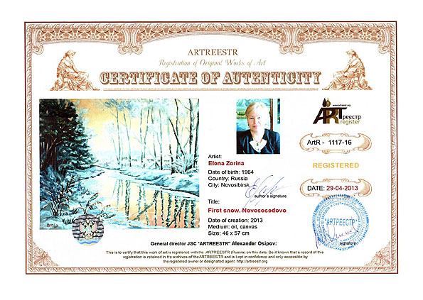 First snow. Novososedovo