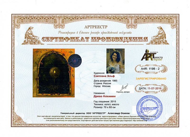 1198 - Эльф Светлана