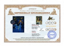 1198 - Эльф Светлана