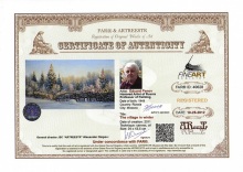 The village in winter