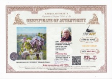 Цветущий май