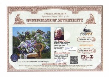 Lilacs near the house