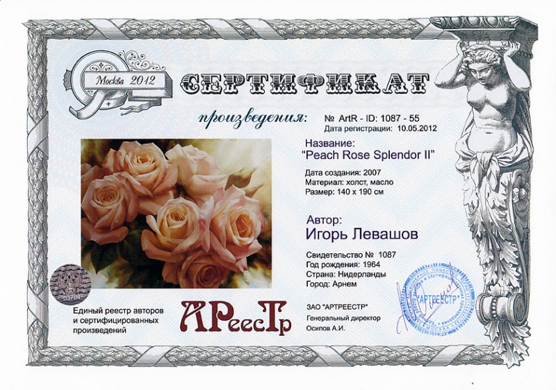 Peach Rose Splendor II